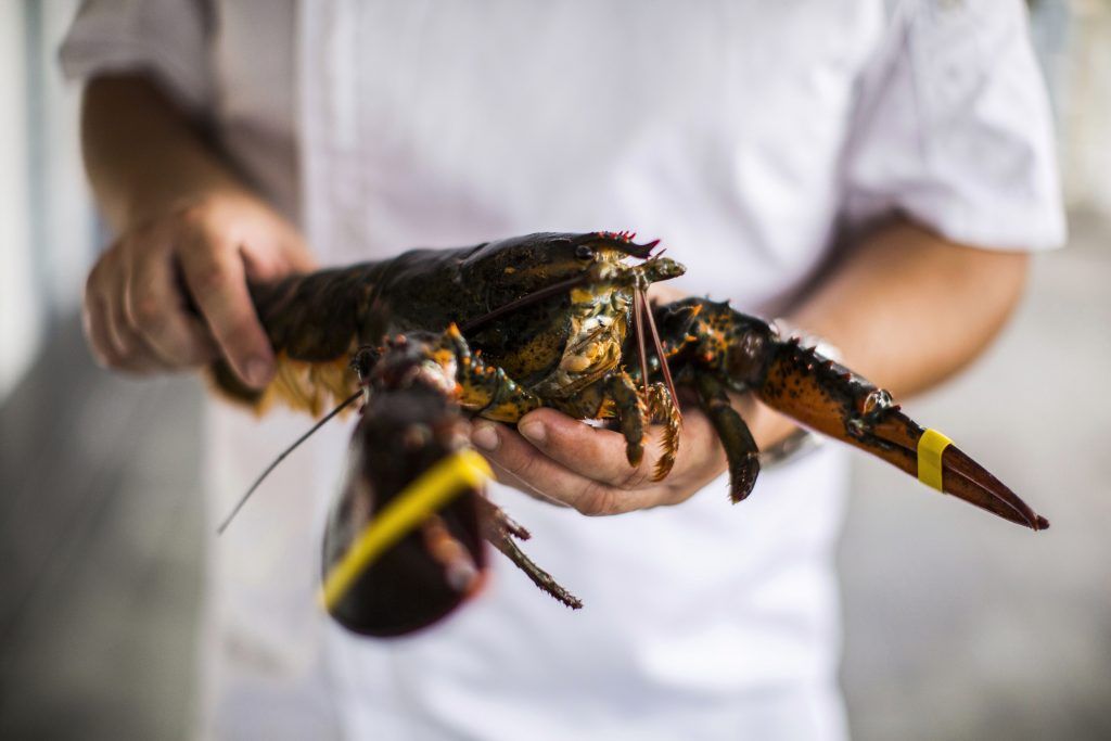 Review: Bayswater Kitchen at Keppel Bay