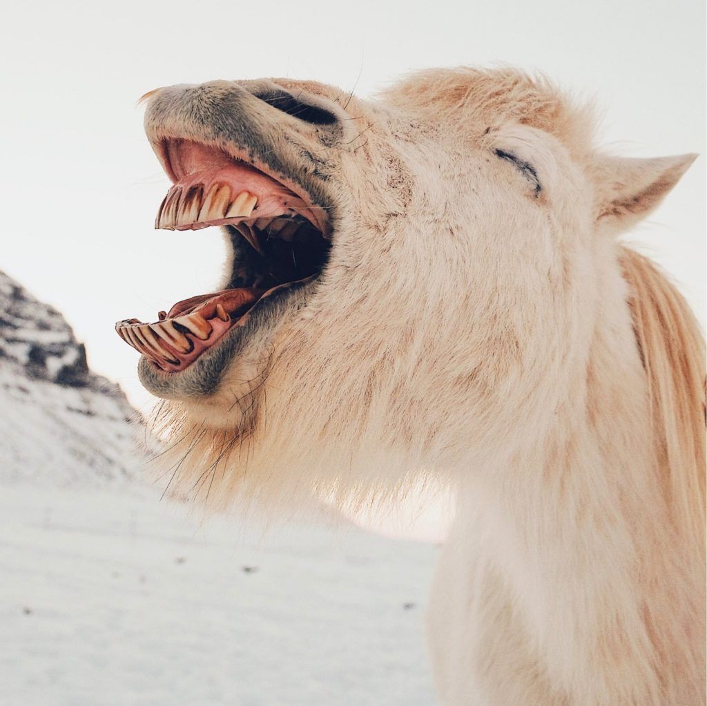 9 reasons why Twitter users are the funniest