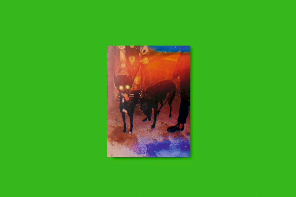Gucci released a limited edition photo-book by Harmony Korine for its pre-fall collection