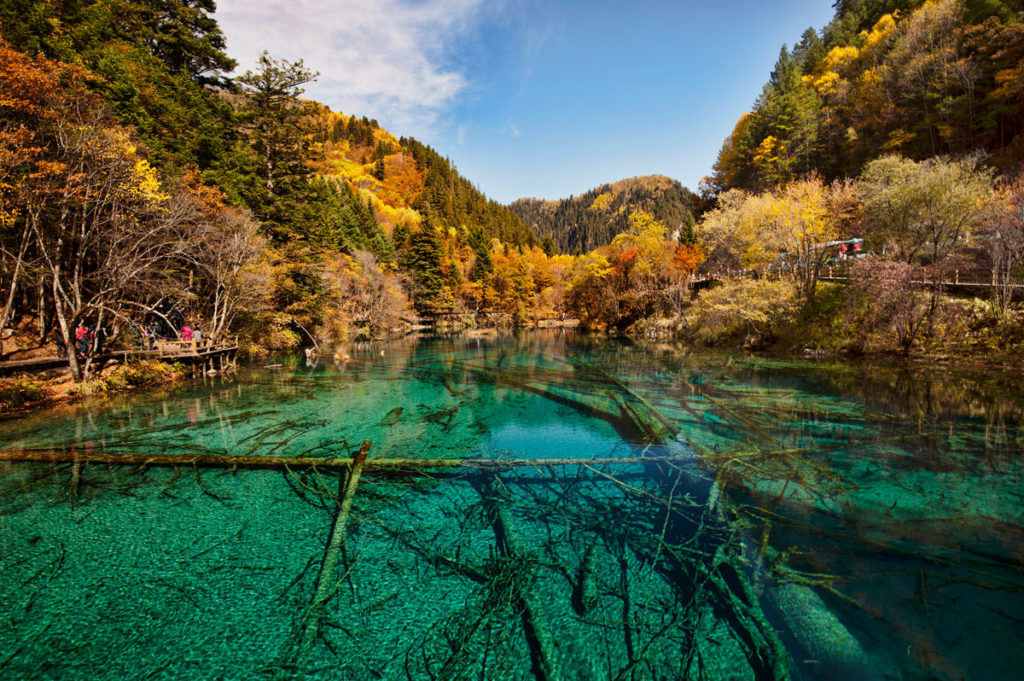 Exploring China: The Definitive Chengdu Travel Guide