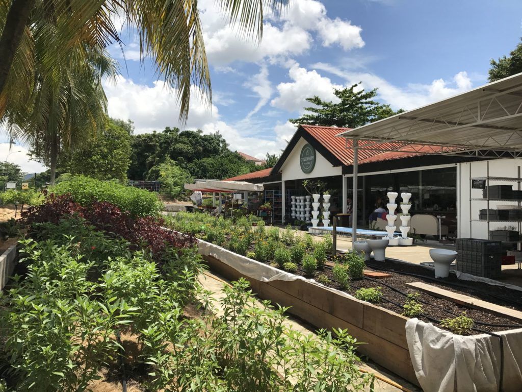 Cultivating the next generation of farmers