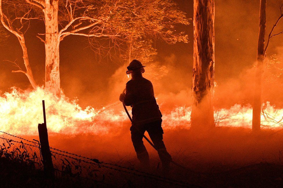 Australia’s Bushfires: Star Power to the Rescue Australia’s Bushfires: Star Power to the Rescue