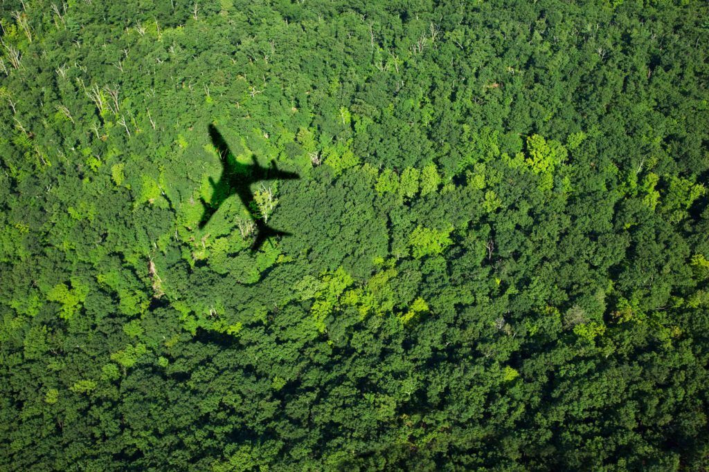 Save the Earth by changing how and who you travel with