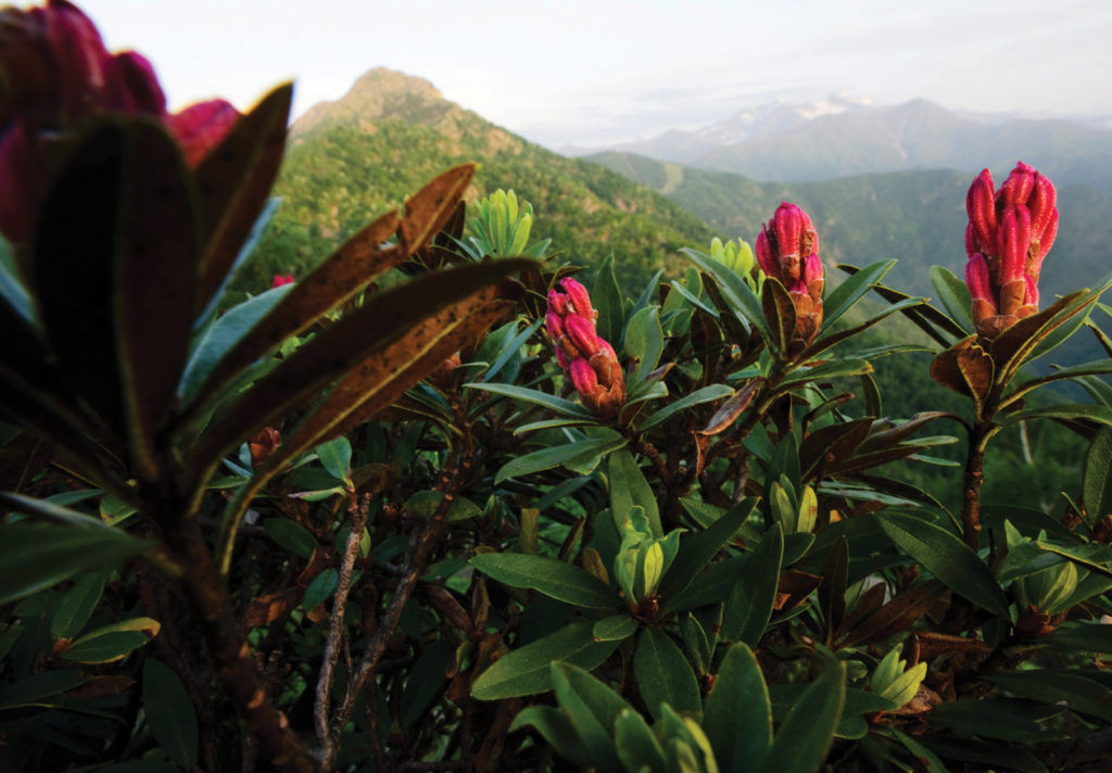 #EarthDay2020: Ermenegildo Zegna Takes the Scenic Route Through Oasi Zegna