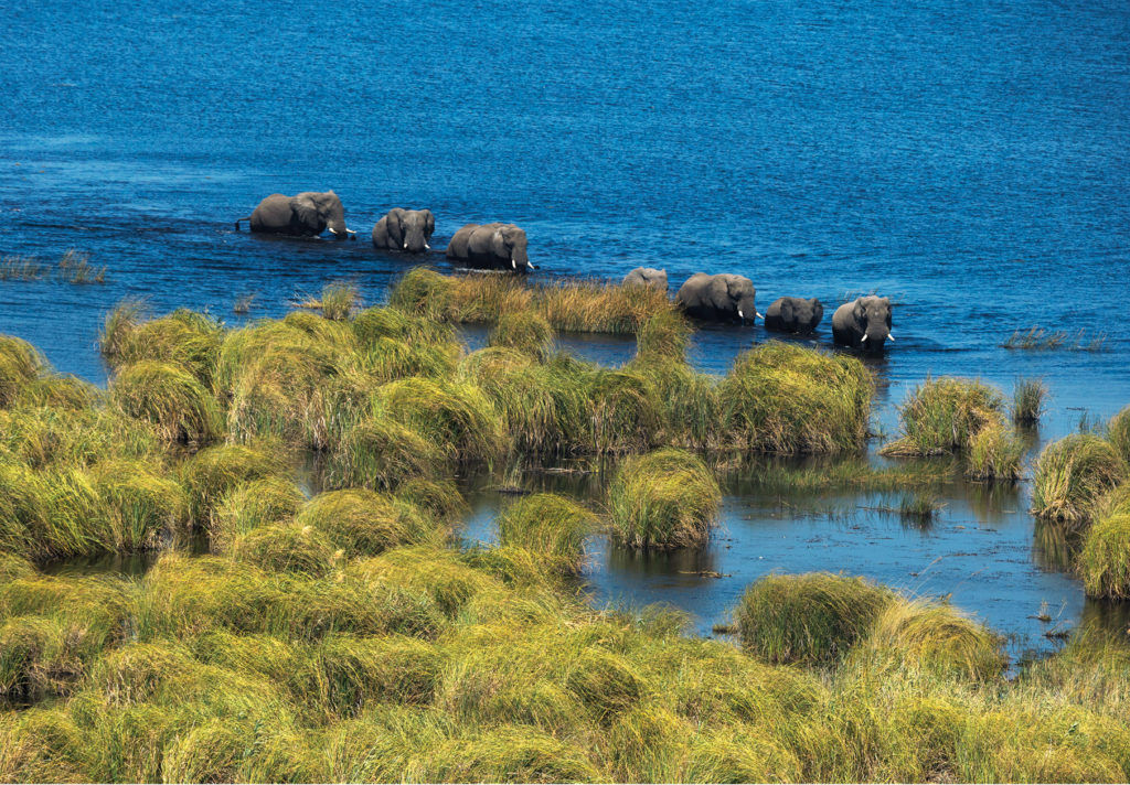 #EarthDay2020: Omega on Capturing Nature’s Fragility