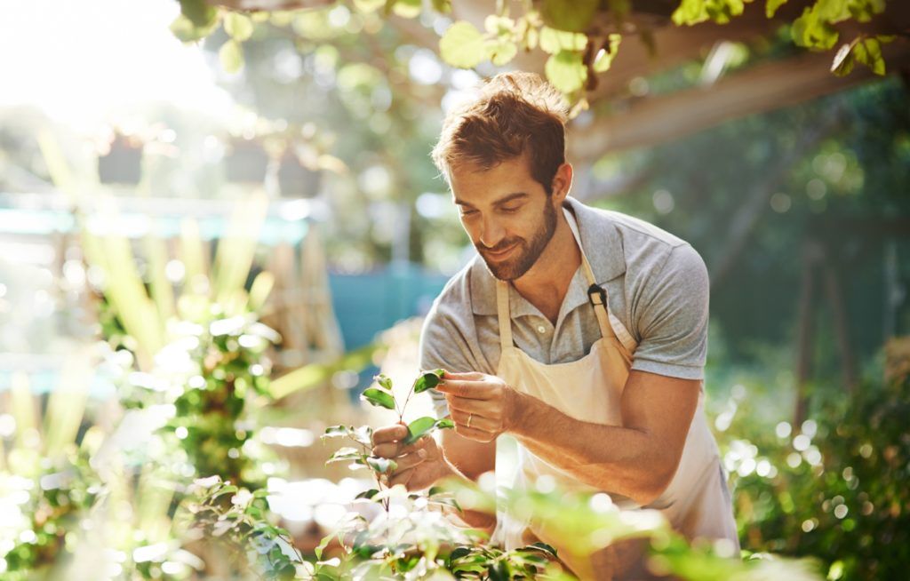 Eco-Friendly Men Are Deemed More Attractive As Mates