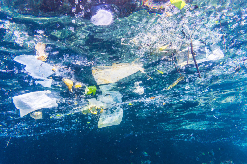 The Truth About Plastic Pollution