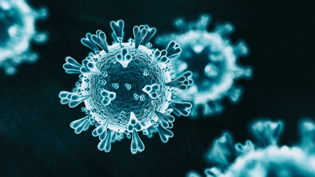 Covid-19: Everyday Things Which Could Harbour The Virus