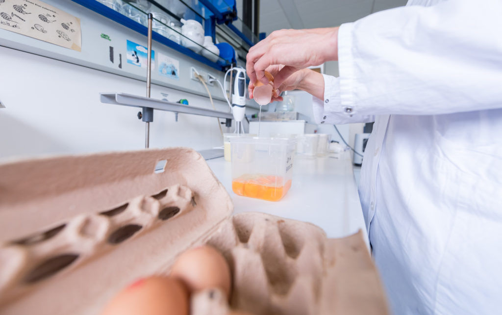 The Vegan Egg May Soon Become A Reality
