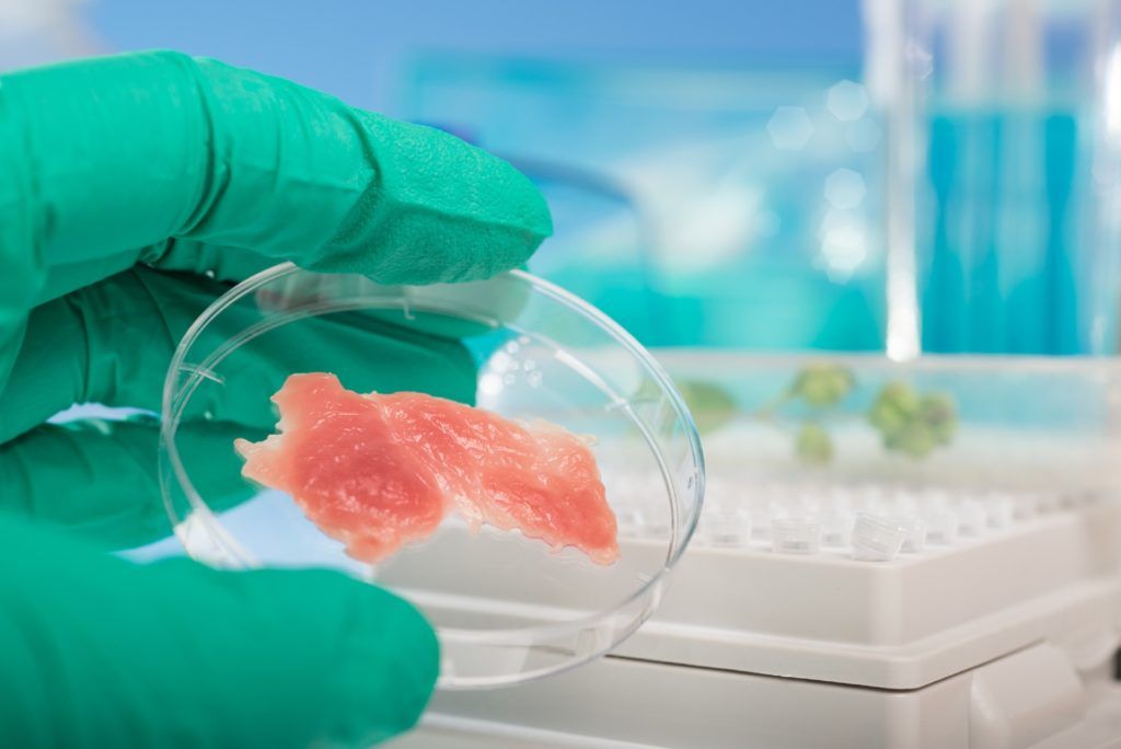 Do You Think You’re Ready To Start Eating Lab-Grown Meat?