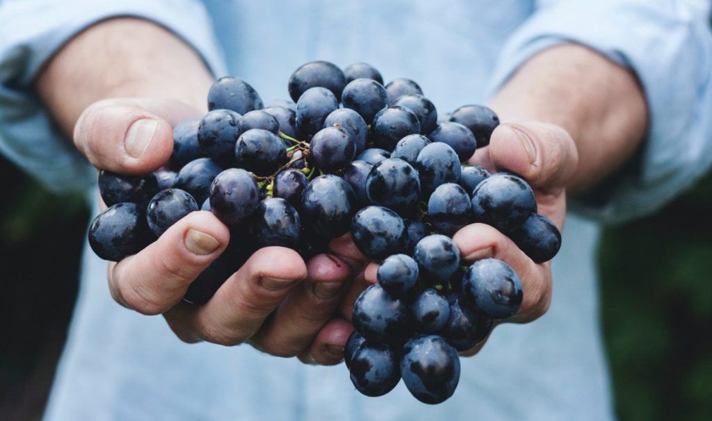 The Most Breathtakingly Beautiful Vineyards In The World