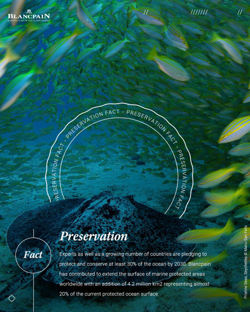Blancpain’s Ocean Commitment Is About Protecting Our Most Precious Resource