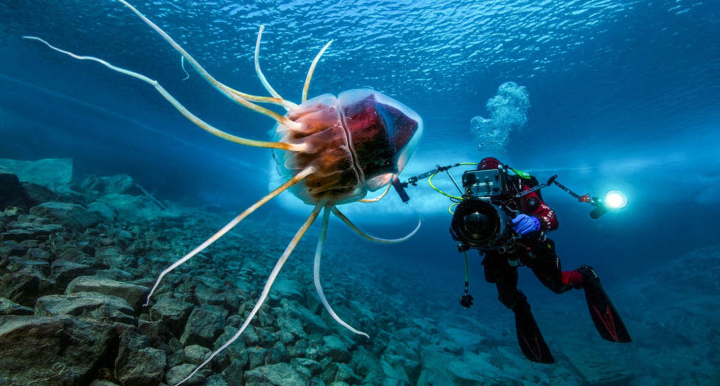 Blancpain And Its World Ocean Commitment Is About Essential Stewardship