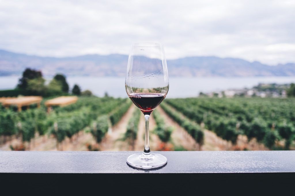 French Wine Production Could Be The Lowest In At Least 40 Years — If Not Ever
