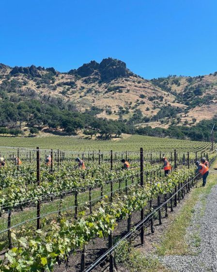 Stag's Leap Wine Cellar (Yountville, CA, USA)