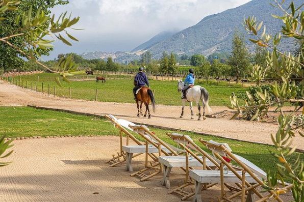 Viu Manent (Valle de Colchagua, Chile)