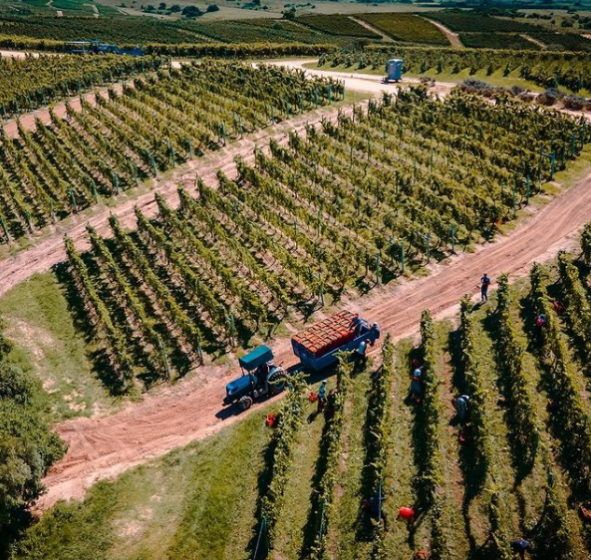 Bodega Garzón (Maldonado, Uruguay)