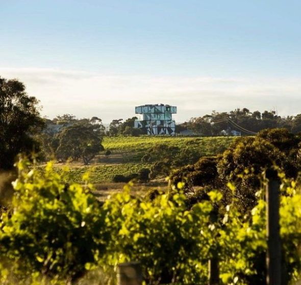 d'Arenberg (McLaren Vale, Australia)