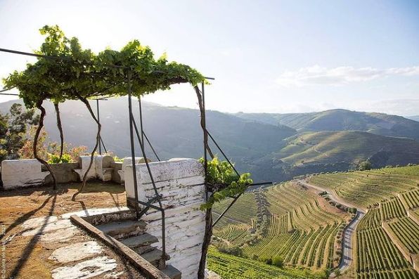 Quinta do Noval (Duoro Valley, Portugal)