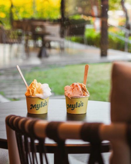 Mylo's