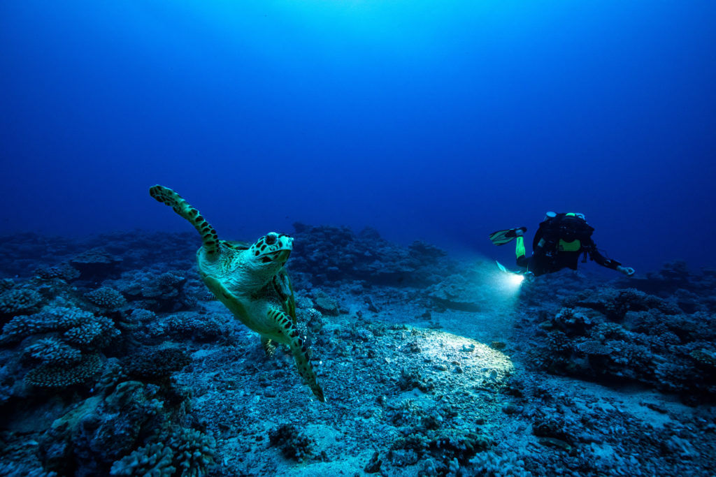 Rolex Reveals Its 2021 Heroes Of The Ocean