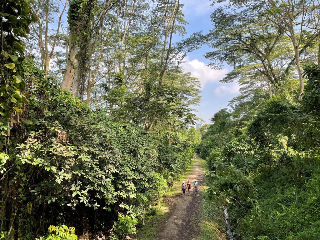 Awesome Hiking Trails In Singapore That Will Lead You To Good Food