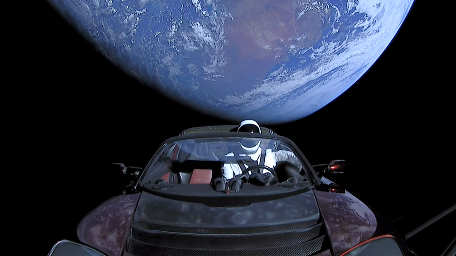 Elon Musk Tesla Roadster