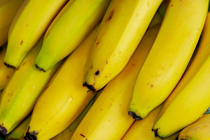Postbiotics