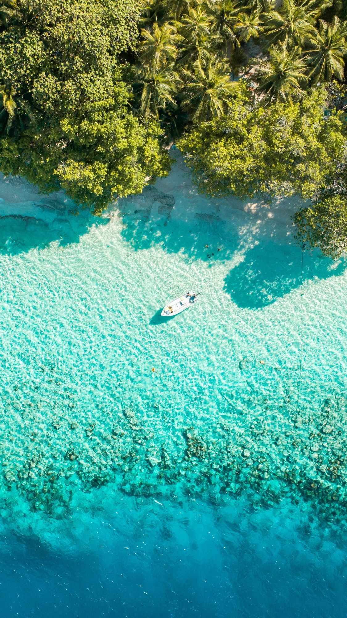 Vtl maldives