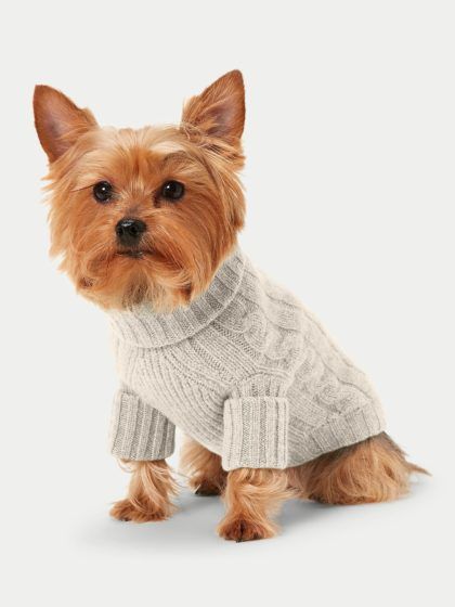 Polo Ralph Lauren's Cable Knit