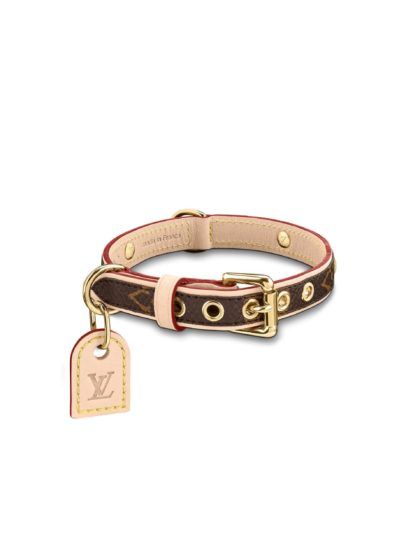 Louis Vuitton's Baxter Dog Collar