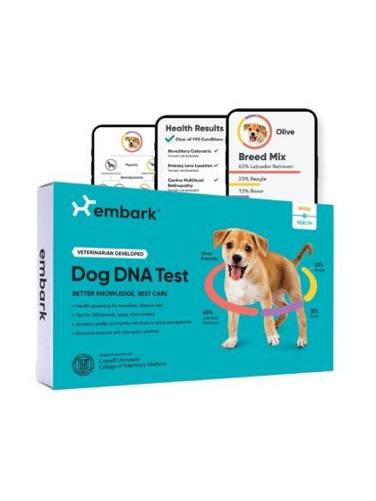 Embark Dog DNA Test Kit