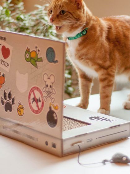 Suck UK's Cat Scratch Laptop