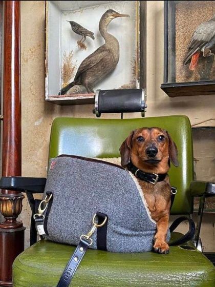Lish's Phillip Harris Pet Carrier