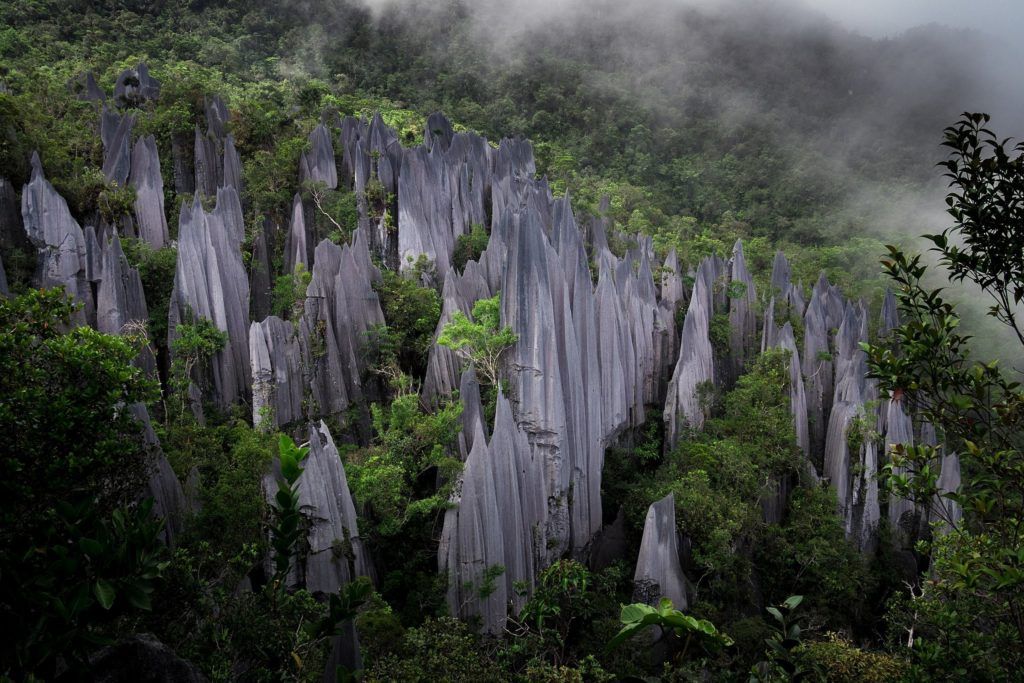 10 Global Ecotourism Destinations To Add To Your Travel List
