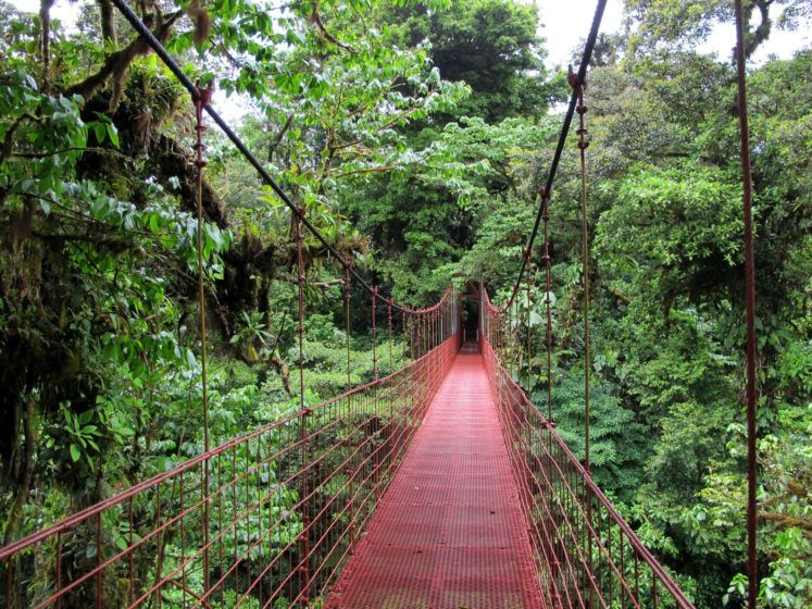 Monteverde Cloud Forest, Costa Rica