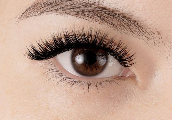 Browhaus Lash in Bloom