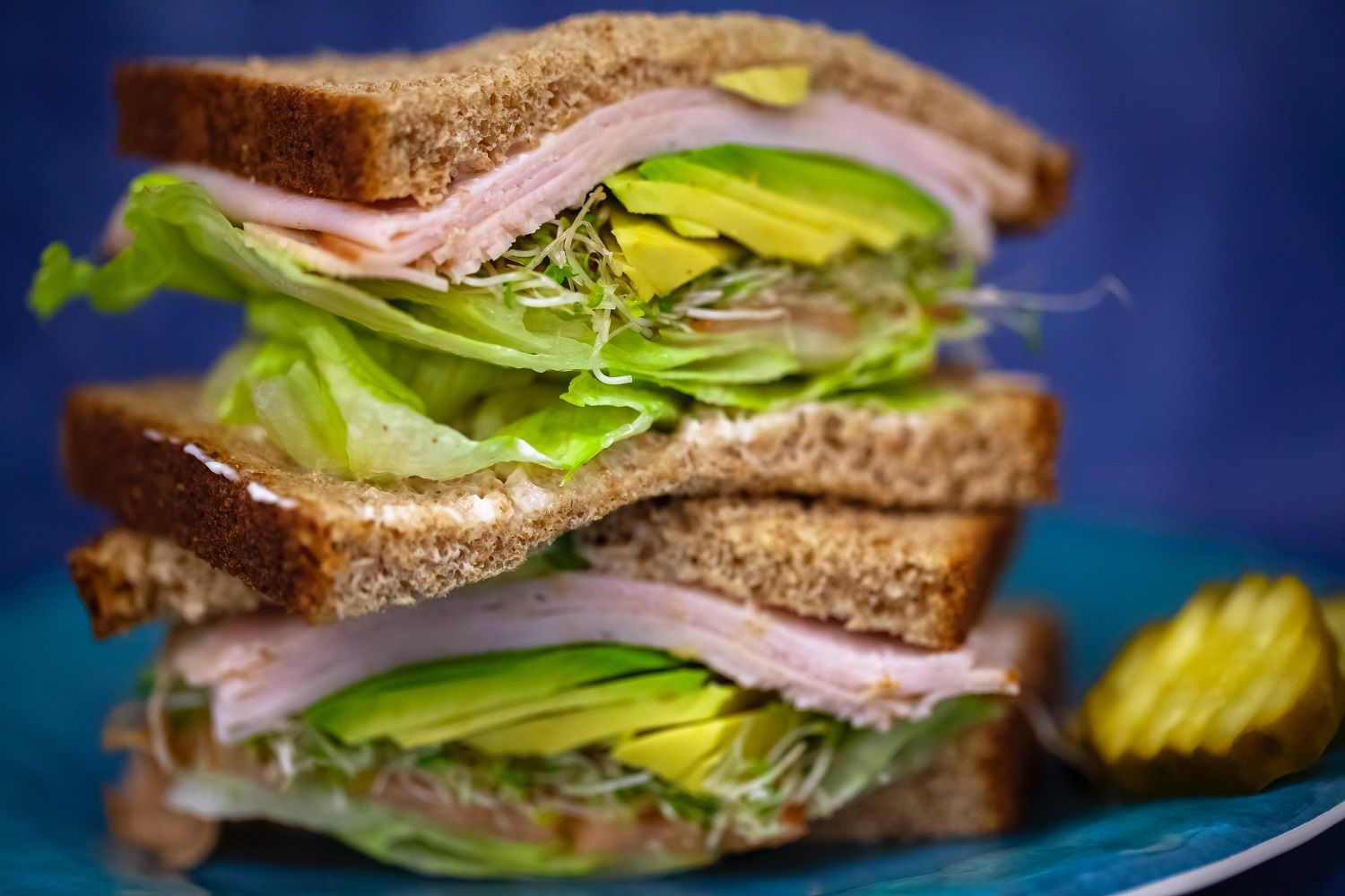 Leftover turkey sandwich