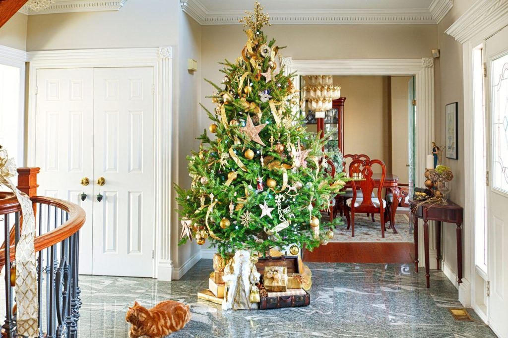 Seven Things Experts Say You Should Know Before Buying a Real Christmas Tree