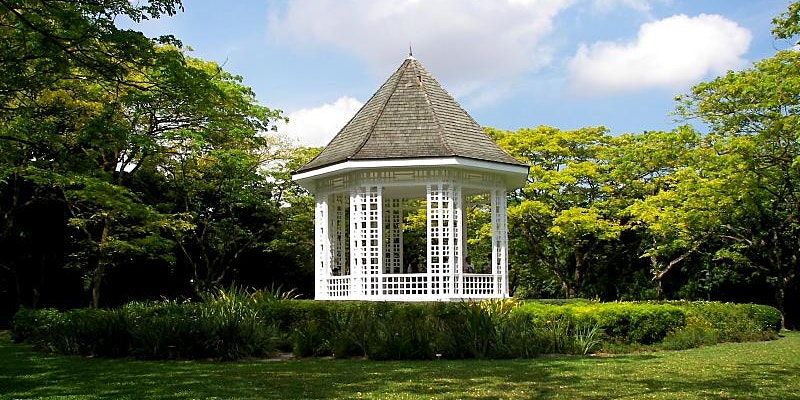 Singapore Botanic Gardens Stroll