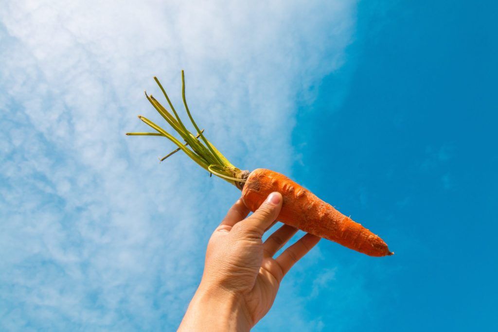 Foods That Are High In Vitamin A That You Can Include In Your Diet