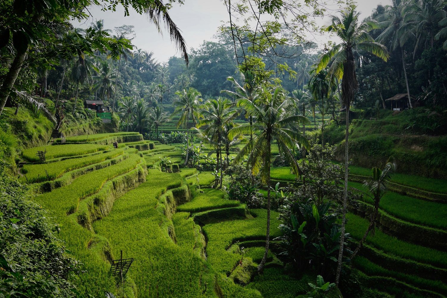 Indonesia travel