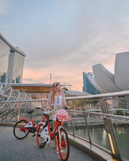 Mandarin Oriental Bikecation