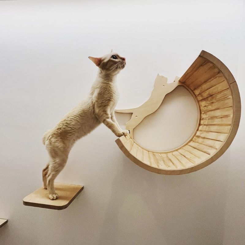 The Luxe Meownor: A Place For Your Cat To Have Its Own Staycation
