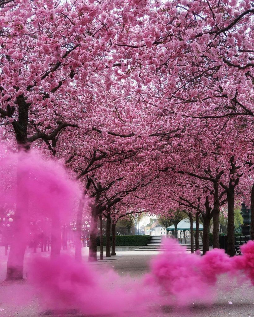 stockholm Sweden