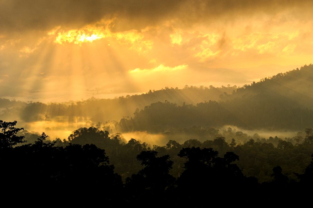 Earth Day 2022: The Best Nature Documentaries To Stream