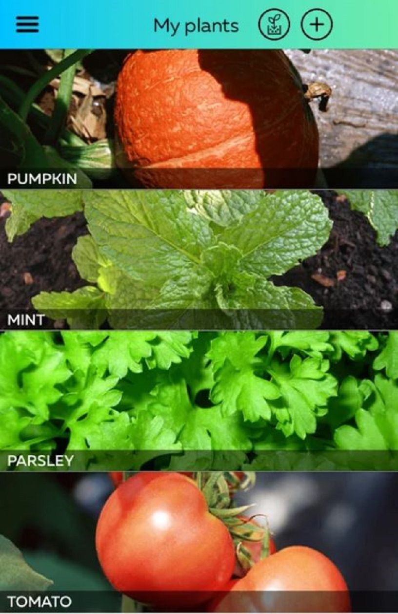 apps to live sustainably