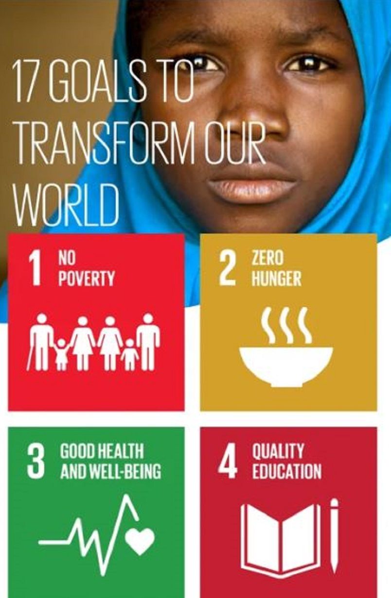 SDGs in action