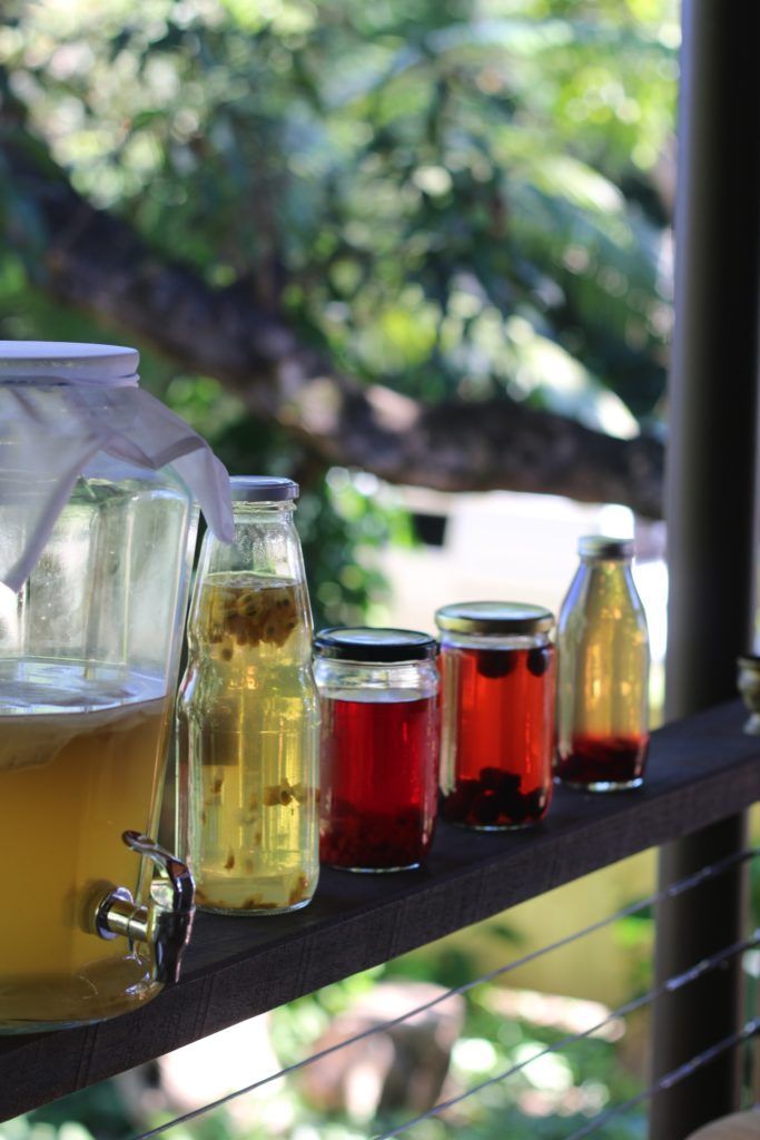 Jun tea second fermentation