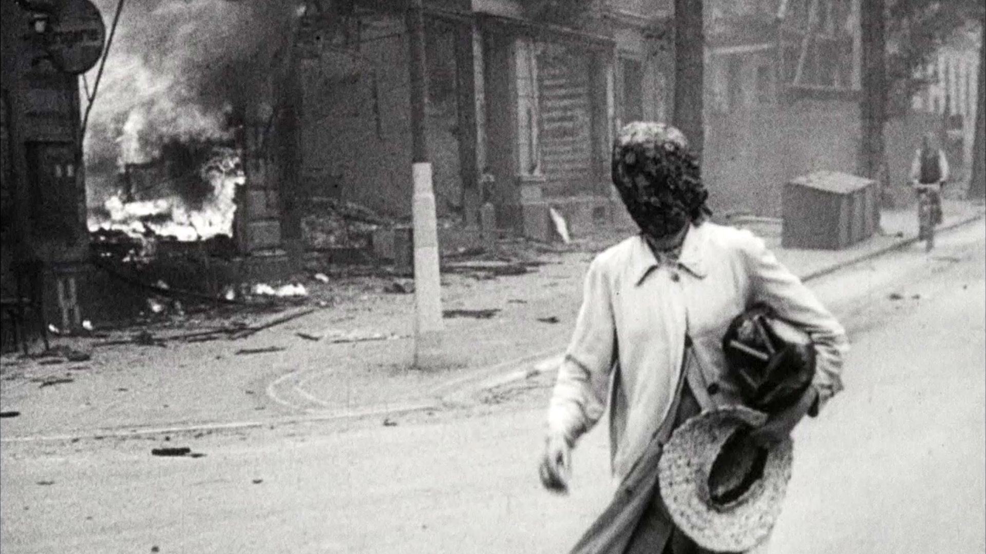 Film screenings at Cannes: Natural History of Destruction The